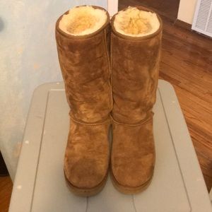Tall Chestnut Ugg Boots